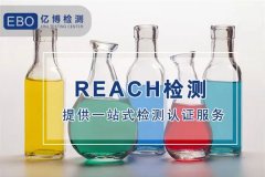 REACH209嵥