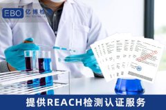 綯REACH ҪǮ