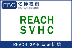 REACH 201 ҪǮ